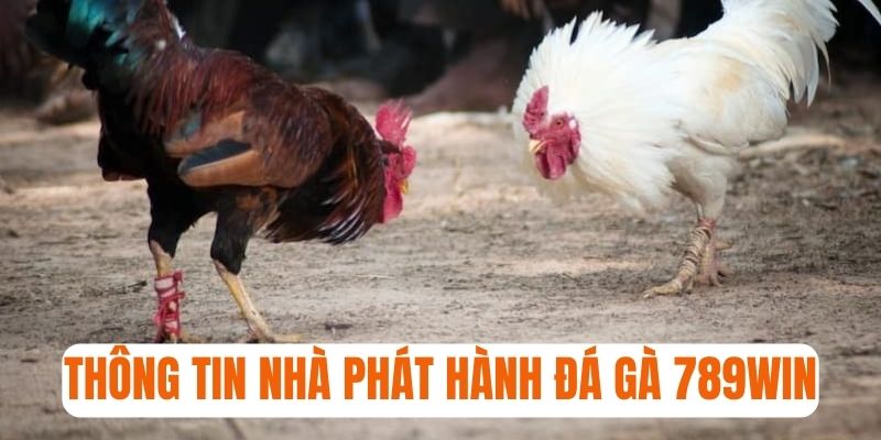 Khám phá thông tin nhà phát hành dịch vụ đá gà 789win